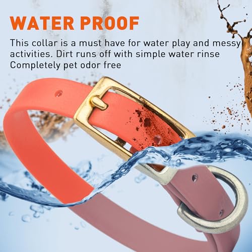 Image of Viper Biothane Heavy Duty Waterproof Dog Collar Strong Coated Nylon Webbing w /Solid Brass Hardware Odor-Proof Easy to Clean High Performance Fits Small Medium or Large Dogs, Coral