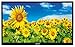 Jensen JE2815 28" LED AC TV, High-Performance Wide 16:9 LCD Panel, 1366 x 768 WXGA+ Resolution, White LED Ilumination, 16.7 Million Colors, Integrated HDTV (ATSC) Tuner, HD Ready (1080p,720p,480p)