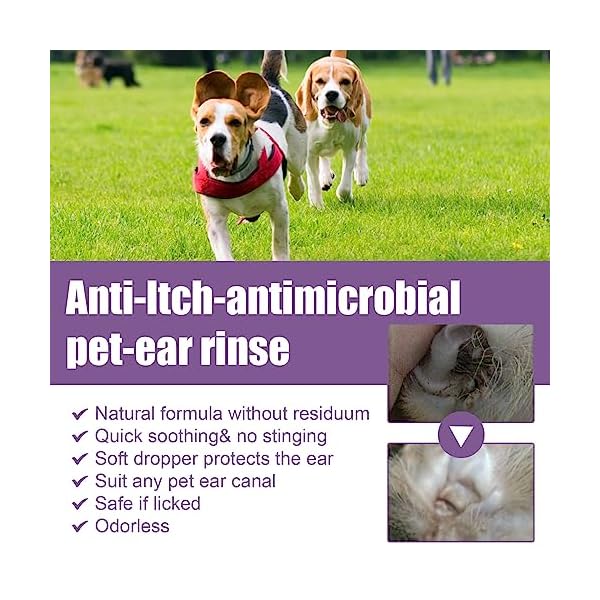 AUSTUS Pet Dog Ear Rinse, Dog Ear Cleaner Solution & Infection Treatment for Dogs & Cats, HOCl Dog Ear Wash Helps Removes Wax, Odor, Stop Infections and Itching, Contains 30 Cotton Swabs AUSTUS Pet Dog Ear Rinse, Dog Ear Cleaner Solution & Infection Treatment for Dogs & Cats, HOCl Dog Ear Wash Helps Removes Wax, Odor, Stop Infections and Itching, Contains 30 Cotton Swabs