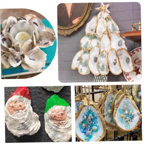 Conchas de ostras Striegro naturales seleccionadas de gran tamaño para arte y decoración 4