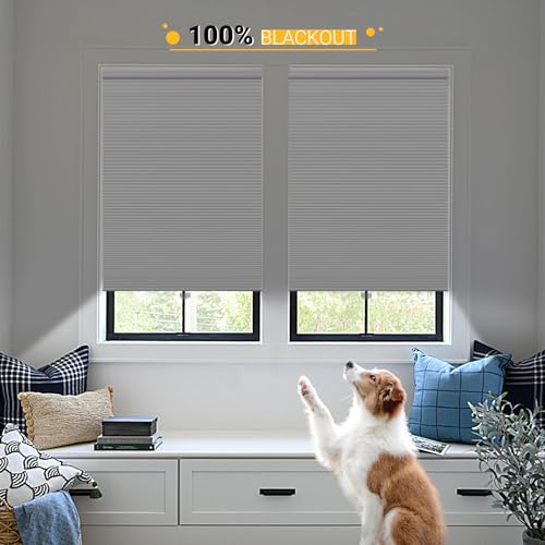 Blackout Cellular Shades Cordless Blinds Window Shades for Home, 25W x 64H, White(Blackout)
