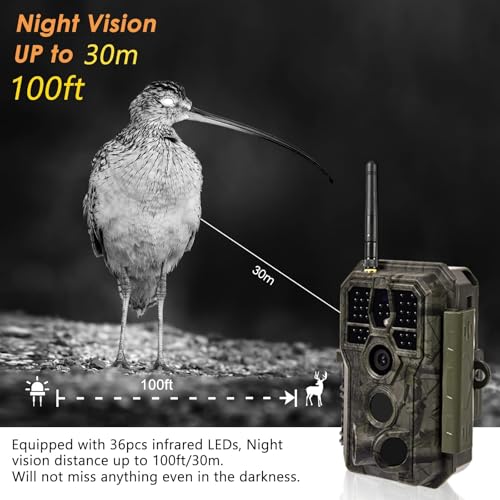 BlazeVideo Wildkamera WLAN mit App,Wildtierkamera Nachtsichtkamera Fotofalle 64MP 1296P Verbinden...