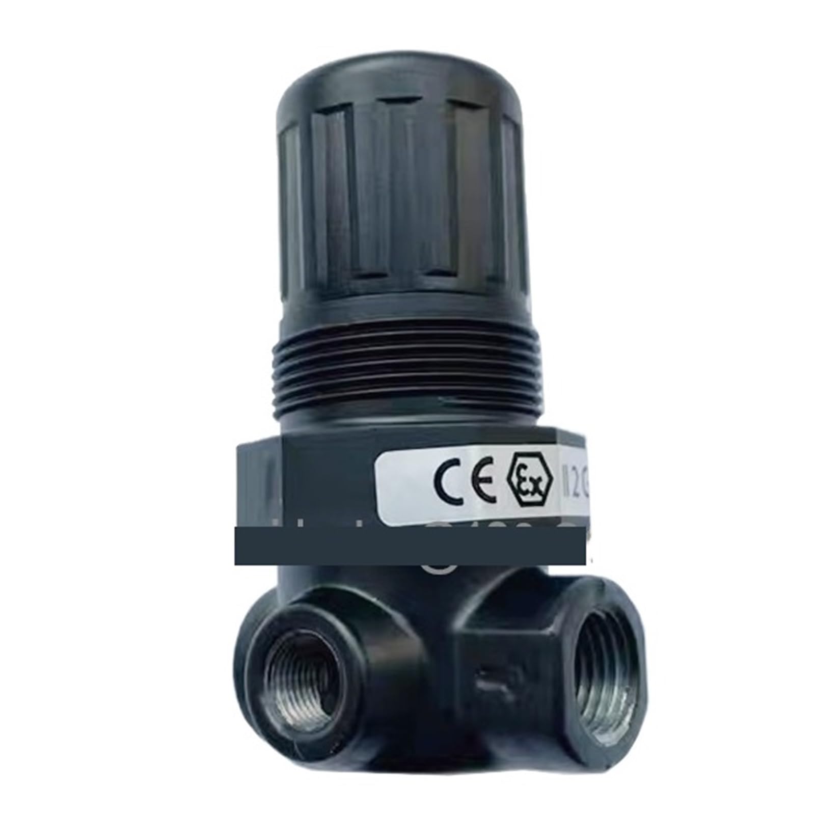 RCGKNNMUZ R07-100-RNAA-8E Pressure Regulating Valve