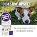 HomeoPet Digestive Upsets, Safe, Gentle, and Natural Cat and Dog Digestive Support, 15 Milliliters