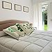 4 Pieces St Patricks Day Pillow Cover 18 x 18 Inch Green Shamrock Pillow Cover Clover Lucky Throw Pillow Case Cushion St Patrick's Day Decoration for Sofa Couch Car Home Decor (Green Shamrock Heart)
