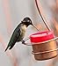 Copper Hummingbird Feeder- Small & Unique Bee Proof Guard Design - Perfect for Window or Hanger - Beautiful Nectar Feeder - Make Your Hummingbirds Happy