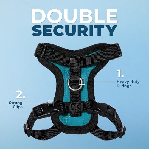 Image of Voyager Escape-Proof Step-in Lock Cat Harness & 5ft Neoprene-Handle Leash Set All-Weather Mesh with Reflective Stitching for Small to Large Cats by Best Pet Supplies, Turquoise /Black Trim, XXXS