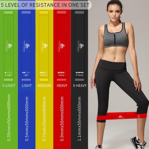 FITBODYNATION 80 Day Equipment-Resistance Bands(5), Core Sliders Fitness Discs(2) Set with 7pc Portion Control Containers for 21 Day Program, Weight Loss E-Book Guide, Online Workout Video - Thumbnail 5