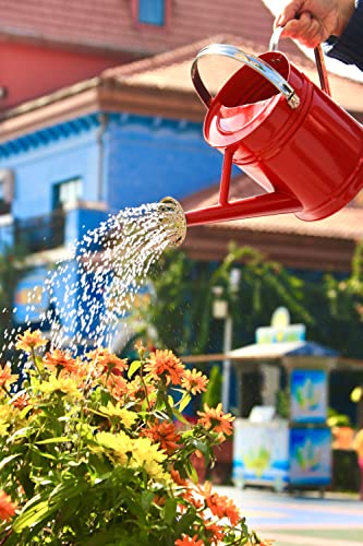 Joequality Watering Can For Outdoor&Indoor Plants，1 Gallon Galvanized Steel Watering Can With Stainless Steel Handles，Metal Garden Watering Pot Gardening Gifts For Women，Red #TOP1