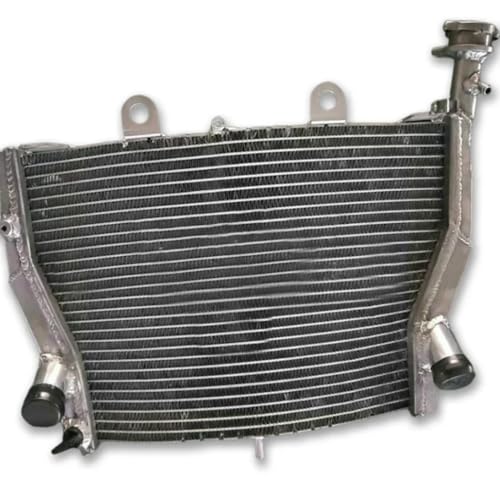 Radiateur en aluminium pour S1000RR et S1000 K46 ABS 2009-2017