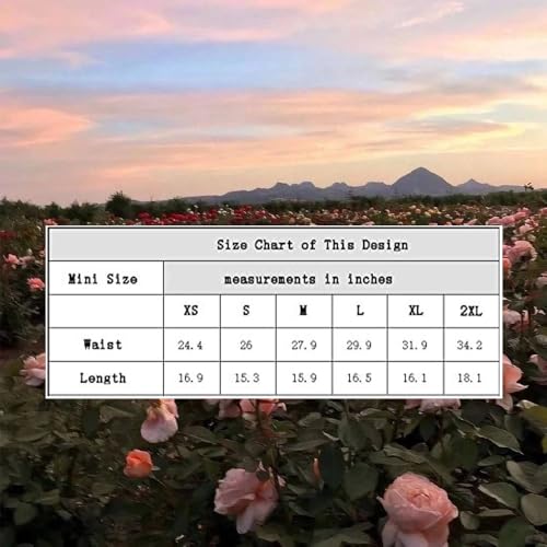 Women's Basic Multi-Function Stretch Lace Casual Mini Skateboard Skirt3