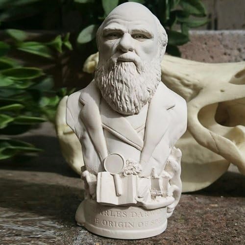 Charles Darwin Bust Sculptures Handmade in The UK from Plaster. Charles Darwin Figurine