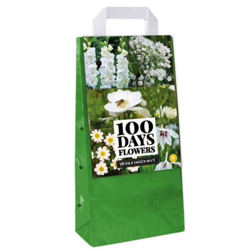 Jub 125 Bulbes à Planter Fleurs Blanches