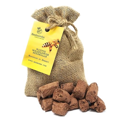 Official Beebombs Wild Flower Seeds UK Native Mix - Handmade in Dorset Wildflower Meadow Seed Balls Bee Gifts Gift for Gardener 21sqft Coverage