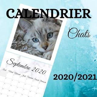 Le Calendrier 2023 Du Chat Acariâtre Le Retour Amazon.fr : Calendrier Chats