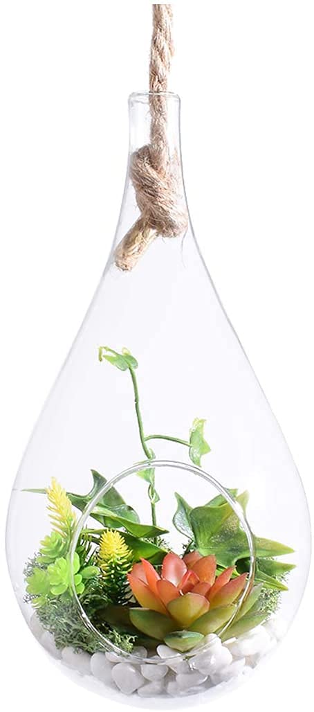 Zestaw do akwarium ze szkła kroplowego w kształcie kuli trzymanej na linie, duże szklane terrarium do zawieszania roślin powietrznych, sukulentów, sypialnia/łazienka w pomieszczeni
