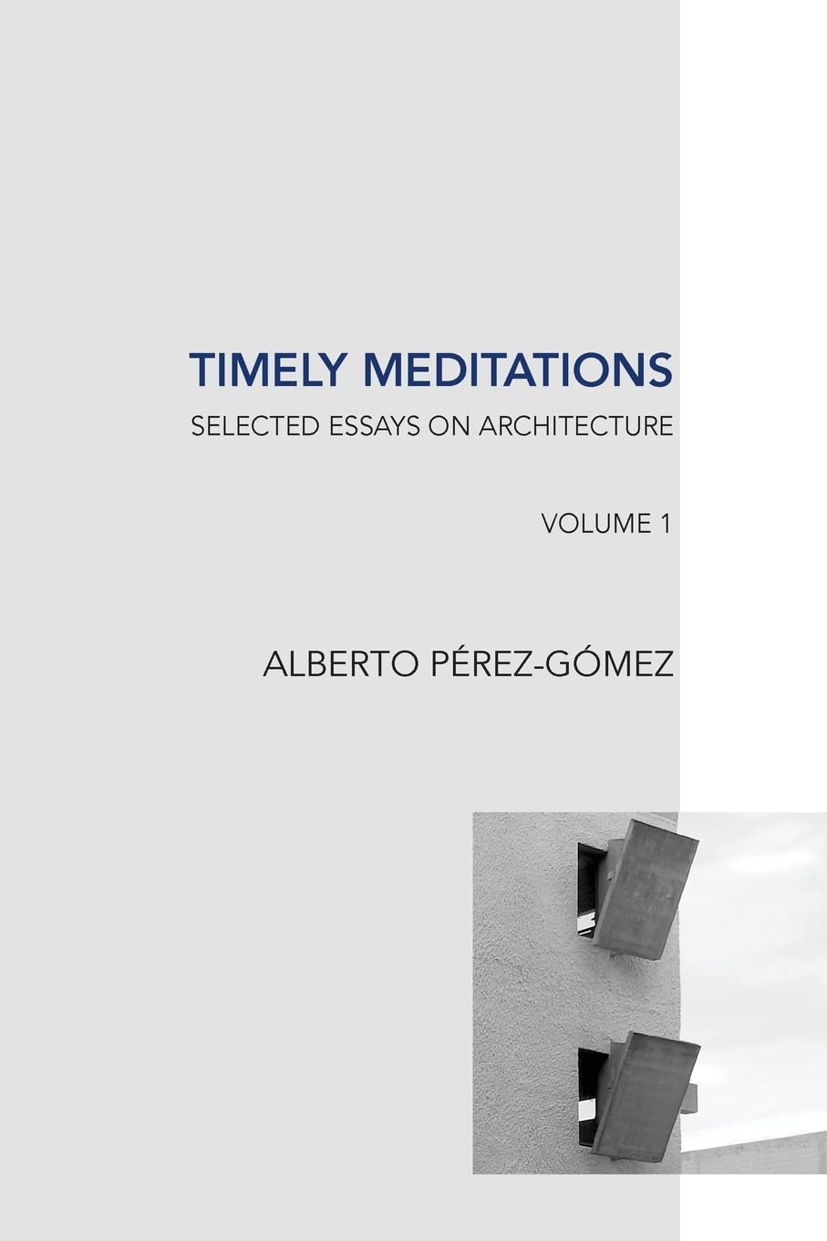 Timely Meditations, vol.1: Architectural Theories and Practices: Volume 1 (Selected Essays on Architecture)