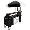 Cambro Large Camcruiser Vending Cart w/ 4 Food Pan Wells, Granite Grn