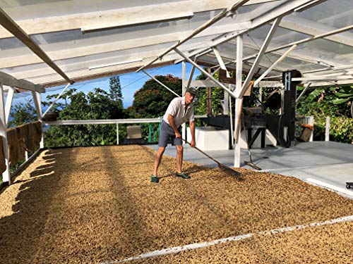 Domain Kona Peaberry Ground