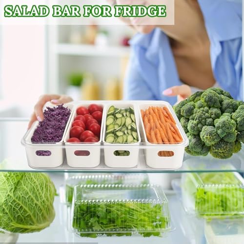 Image of HAMSA Multipurpose Spice Jars For Kitchen, Masala Box Container For Kitchen, Small Spices Box Rack, Seasonings Jar - Acrylic (Fridge Storage Boxes with Lid & Handle)