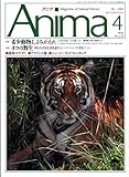 アニマ　1992年4月号　希少動物　ネコの野生　南米のツノゼミ　アマゾンの魚