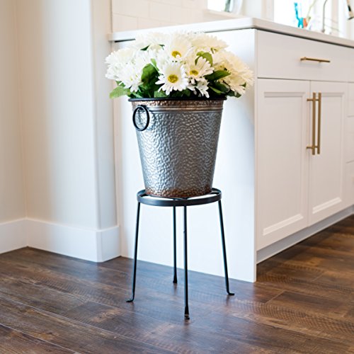 Achla Designs Fb-31 Argyle Ii Wrought Iron Plant Stand, 14-Inch H, Graphite #TOP3