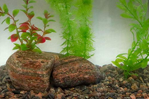 Gravilho de ervilha de granito de 1,9 cm, bolsa de 1,9 kg – Gravilho de granito natural decorativo p