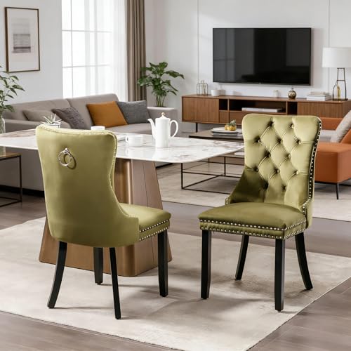 Trygoal Dining Chairs Set of 2, Dining Chair with Velvet