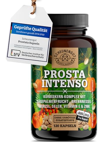 Password Keeper: Password Book that says "WTF Is My Password" on the the cover, Journal Notebook Diary Internet Logbook Tracker