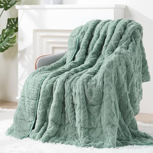 Super Fuzzy Soft Sherpa Fleece Weighted Blanket, 20 lbs Dual Sided Fluffy Heavy Weighted Blankets for Adults - No Bunching with Double Layers of Soft Inner Lining (60"x 80", 20 Pounds)