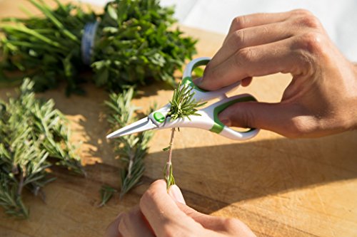 Image of Zyliss Heavy Duty Home & Kitchen Herb Shears Scissors with Innovative Stem Stripper, Versatile Kitchen Shears for Trimming Weeds, Flower Buds & More - White /Green - 8.5 x 4.2 x 0.4 inches
