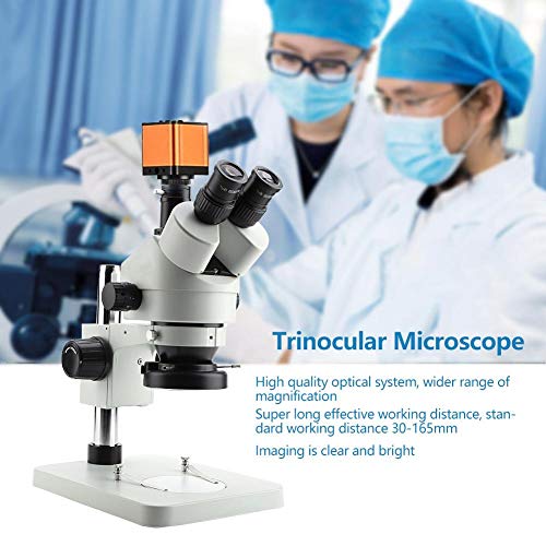 Microscopio WF10X 0.7X-4.5X Microscopio