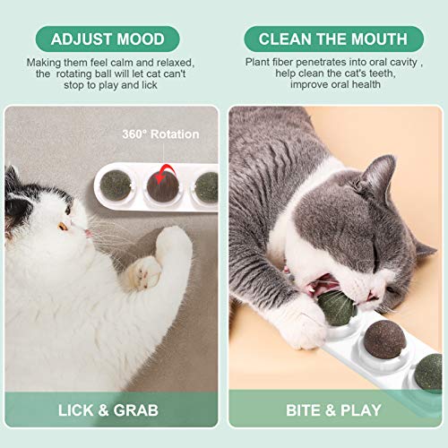 TEHAUX Bola de parede de erva de gato, bolas comestíveis para lamber a erva do gato, petiscos natura