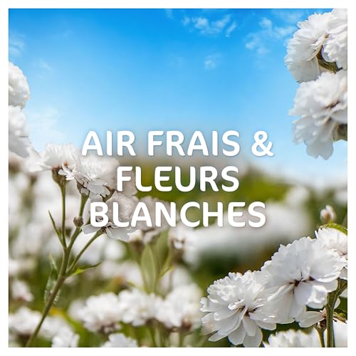 Lessive liquide Dash 2en1 parfum fleurs blanches pour le linge de maison