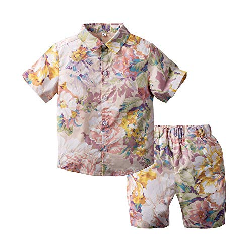 Toddler Baby Boy Shorts Sets Hawaiian Outfit Set,Infant Kid Leave Floral Short Sleeve Shirt Top + Shorts Suits (Pink, 4-5T)