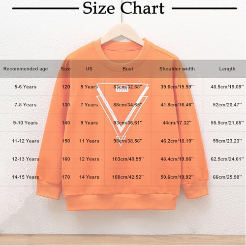 Boys Girls Crewneck Sweatshirts Kids Casual Running Sweatshirt Fashion Long Sleeve Cute Graphic Athletic Pullover3