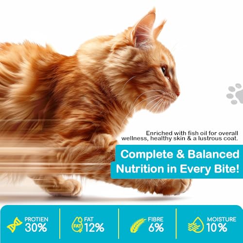 Image of M&K Adult Cat Food with Ocean Fish Oil | Complete & Balanced Dry Cat Food for Adult Cats | Supports Healthy Skin, Shiny Coat & Digestion | High Protein Nutrition for Indoor & Outdoor Cats (7.2 Kg)