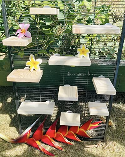10 Piece Kiln Dried Pine Wood Ledges, Platform, Steps for Chinchillas, Rats, Birds and Caged Critters. Chinchilla Cage Accessories.