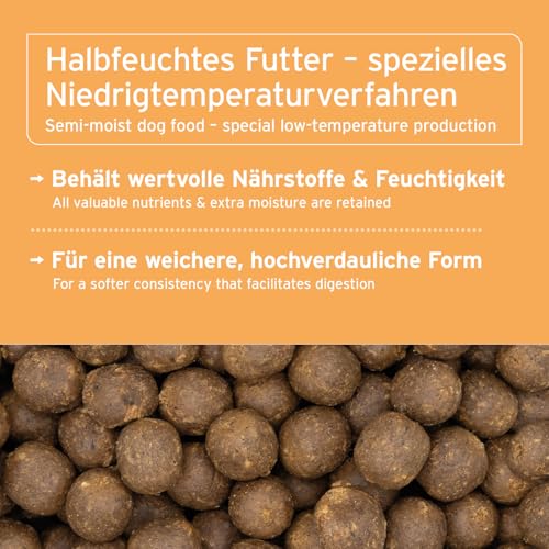 AniForte Huhn Trockenfutter für Hunde 2kg – Zartes Huhn mit Reis & Möhren, Vitamine für Hunde, Halbfeuchtes Trockenfutter, Hundefutter trocken glutenfrei für Allergiker