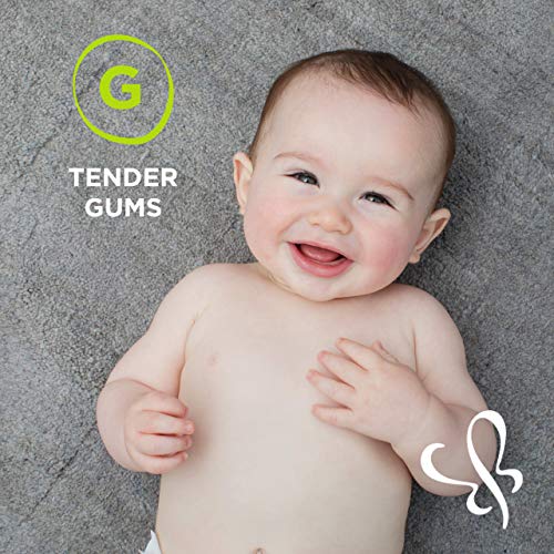 Mommy's Bliss Organic Little Gums Soothing Massage Gel Day And Night Combo Helps With Tender Age Months + Sugar Free 2 - 0.53 Oz Tubes, Mild, Sweet Flavor, 2 Count(Pack Of 1) #TOP4