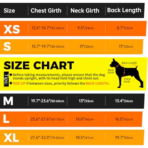 Image of Lelepet Female Dog Diapers with Suspenders, Washable & Reusable Black S | Adjustable and absorbent dog diapers for heat cycles, incontinence, and senior dogs. Comfortable all-day fit. Pet panties