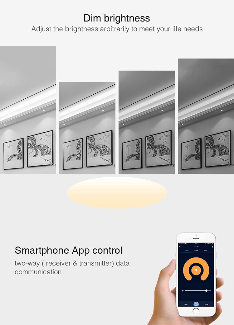 LIGHTEU®, Miboxer dimmer controller per strisce LED WiFi monocolore, controllo vocale remoto e controllo APP, nessun WiFi-box necessario, bluetooth 4.2, FUT036W
