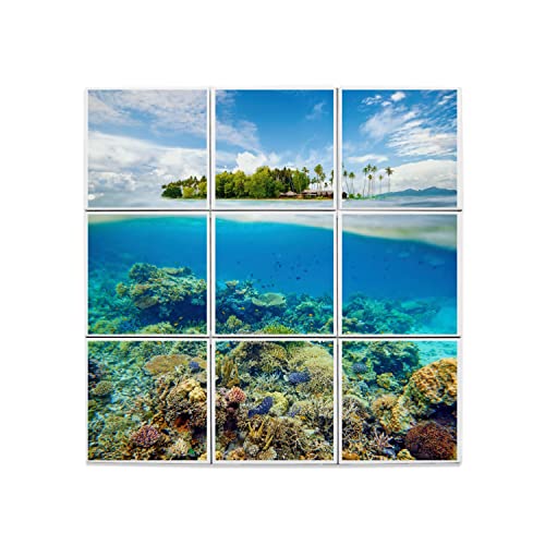 Carreaux céramique corail mer paradisiaque au fini brillant supérieur pour décoration murale