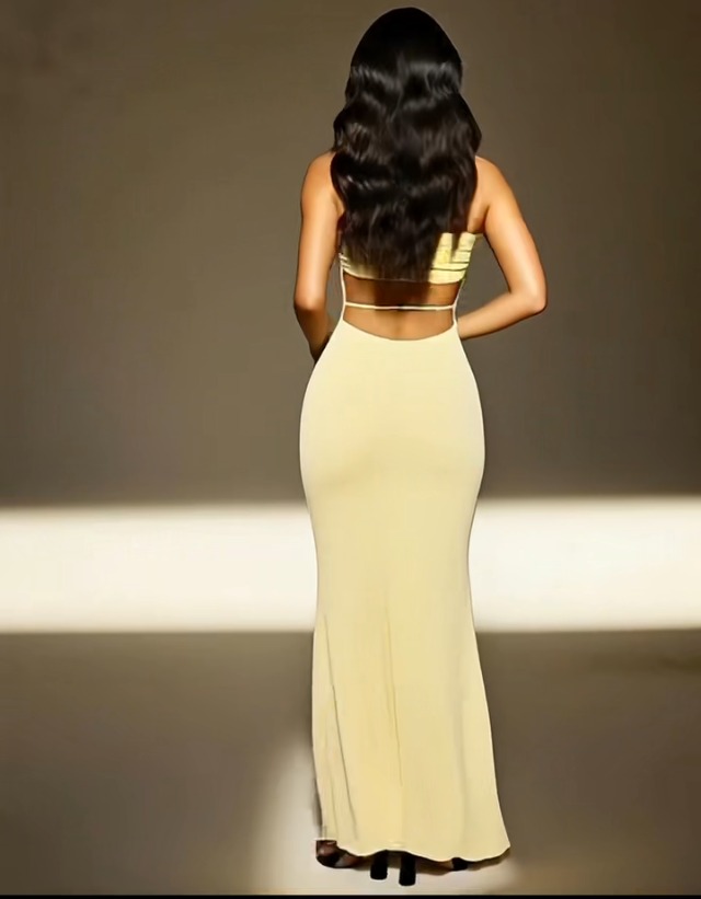 backless long dress for women BACKLESS DRESSES  Tiger Mist USA