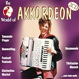 Akkordeon