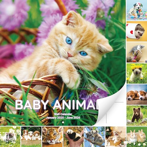 Super Cute 18 Month Baby Animals Wall Calendar 2025-2026. Big 12x12 Inch Novelty Gift With Puppies
