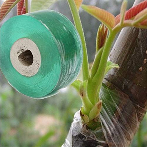 Preisvergleich Produktbild rongweiwang Grafting Band Stretchable Self Adhesive Verpflanzen Garten Bindestreifen Film Obstbaum Verpflanzen Werkzeug Garten Verbindebandpfads