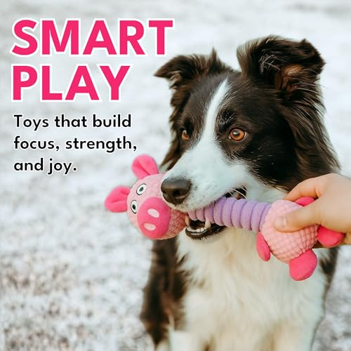 Image of Dog Toys with Sound - Plush Chew & Squeaker & Toy - Interactive Chew Toy - Non-Toxic Play Dog Toy - Small, Medium, & Large Dogs - Long Neck Toys for Dogs (Long Neck Pig (Pink))