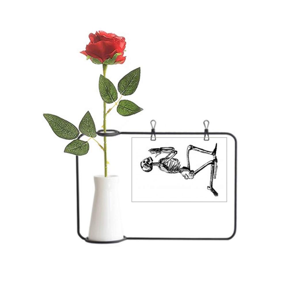 Squelette en prière et vase suspendu pour ambiance cabinet de curiosités chic