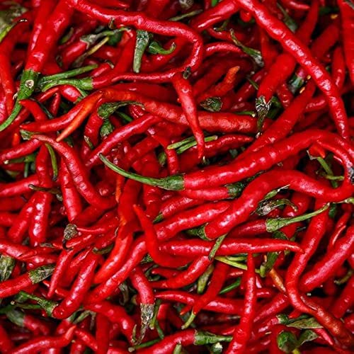 Pepper Joe’s Long Red Narrow Cayenne Pepper Seeds – Pack of 10+ Hot Chili Pepper Seeds – USA Grown – Premium Non-GMO Cayenne Seeds for Planting - Image 2